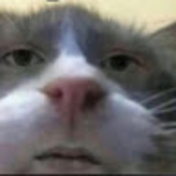 ajsiefert2